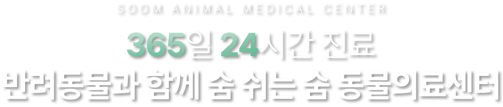 365일-24시간-진료-반려동물과-함께-숨-쉬는-숨-동물의료센터