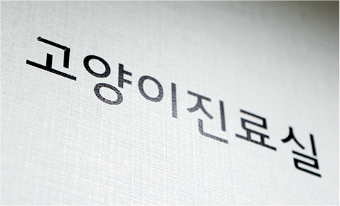 고양이-진료실