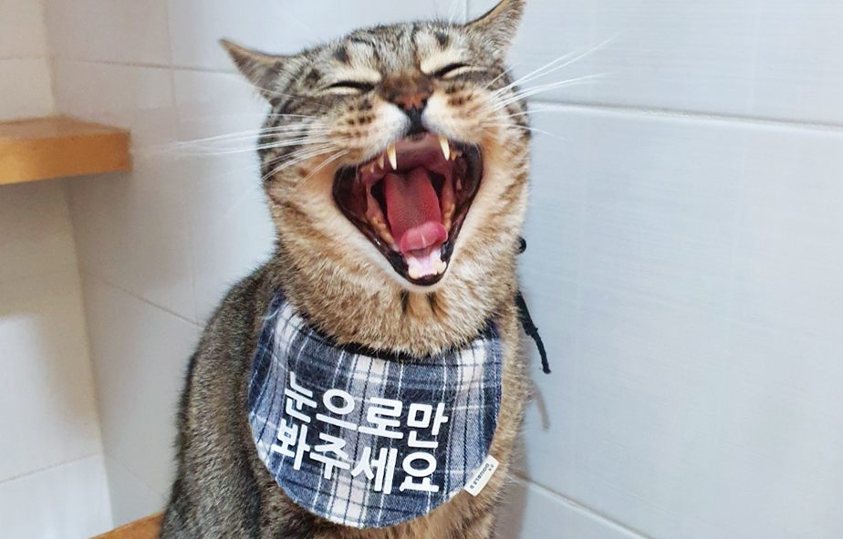 눈으로만-봐주세요