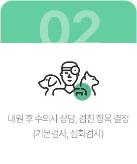 내원 후 수의사 상담, 검진 항목 결정