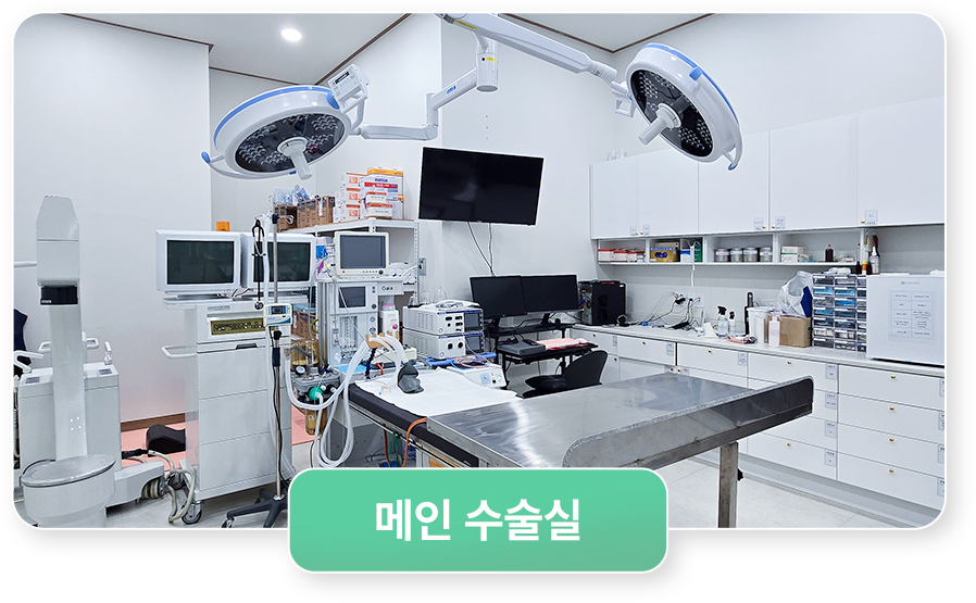 메인수술실