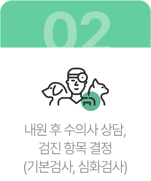 내원 후 수의사 상담, 검진 항목 결정